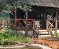 Maerua Luxury Safari Tents