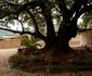 Edenvale Guest House
