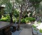 Migrate Bush Chalets