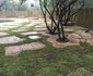 Migrate Bush Chalets