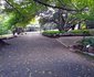 Clarens Rooiland Self-catering