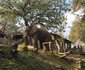 Ximongwe Safari Camp
