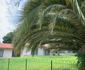 Rivonia Guest House