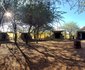 Thorn Tree Bush Camp - Accommodation