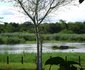 Orchards Farm Cottages