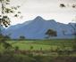 Misty Mountain Reserve
