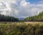 Misty Mountain Reserve