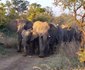 Gangeni Safari Bush Lodge