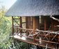 Lion Tree Bush Lodge