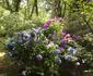 Bramber Cottage Hogsback - Living With Joy!