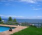 WhaleViews