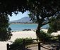 WhaleViews