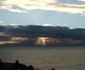 WhaleViews