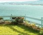 WhaleViews
