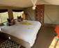  Wild Olive Tree Camp