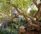 Loerie's Call Guesthouse