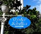 703 Oyster Schelles