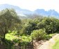 Kierie Kwaak Self-catering Cottages