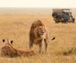 4 Nights 2 pax Safari Package