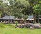 Little Governors Camp