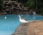 Malibu Country Lodge