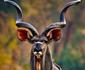 @Nature Luxury Self catering Cottages