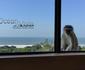 Ocean Vista Boutique Guest House