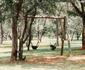 Buyskop Lodge, Conference & Spa