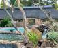 Sambane Game Lodge