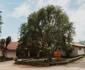 Klipspringer Lodge