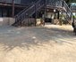 Alamo House Guest Farm 