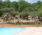 Thandolwami Bushlodge
