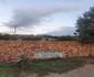 Breede River Holiday Farm