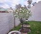 2 The Mews, Clarens