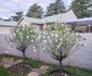2 The Mews, Clarens