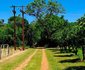 Evergreen River Guest Farm, Groot Marico