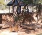 Thekwane Lodge