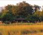 Jumbo Junction Camp