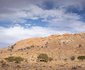 Klein-Aus Vista Desert Horse Campsite