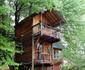 Sycamore Avenue Treehouses