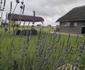 Uurpan Safari Lodge - Schweizer