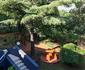 St Michelle Guest Lodge