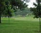 Glendower View Guest House