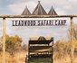 The Leadwood Safari Camp