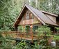 Mt. Baker Rim Cabin #58