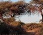 Kathumzi Bed and Breakfast