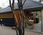 Off Beat Safaris Bush Camp