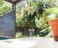 The Wild Ivy Guesthouse
