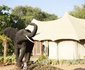 Chisomo Safari Camp