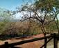 Hazyview Buffalo Game Lodge